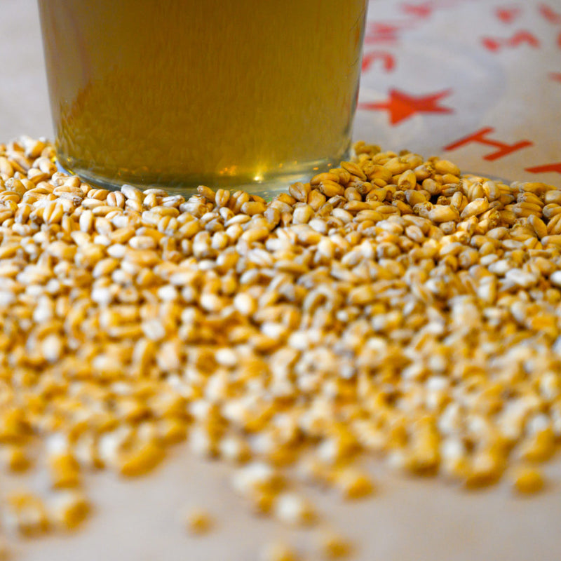 Yolo Gold Wheat - Organic